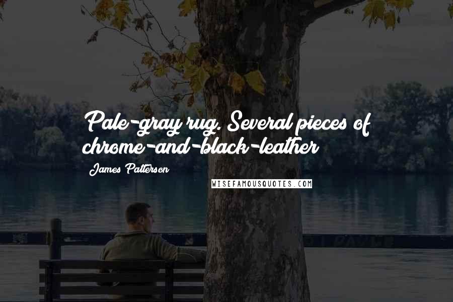 James Patterson Quotes: Pale-gray rug. Several pieces of chrome-and-black-leather