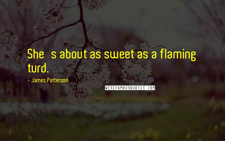 James Patterson Quotes: She's about as sweet as a flaming turd.