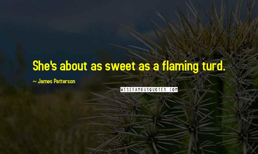 James Patterson Quotes: She's about as sweet as a flaming turd.