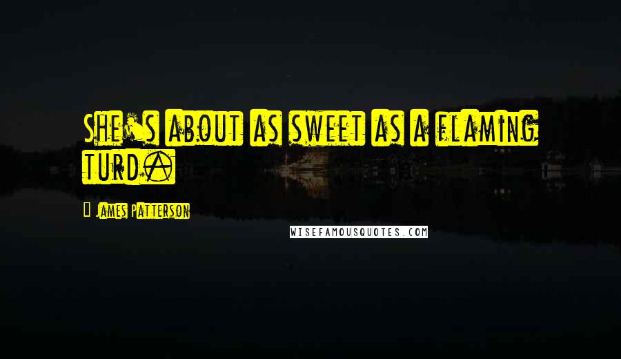 James Patterson Quotes: She's about as sweet as a flaming turd.