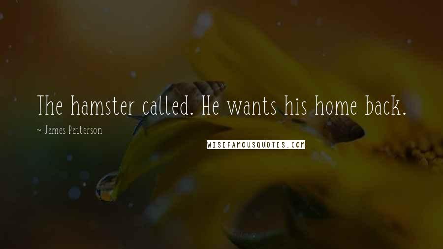 James Patterson Quotes: The hamster called. He wants his home back.