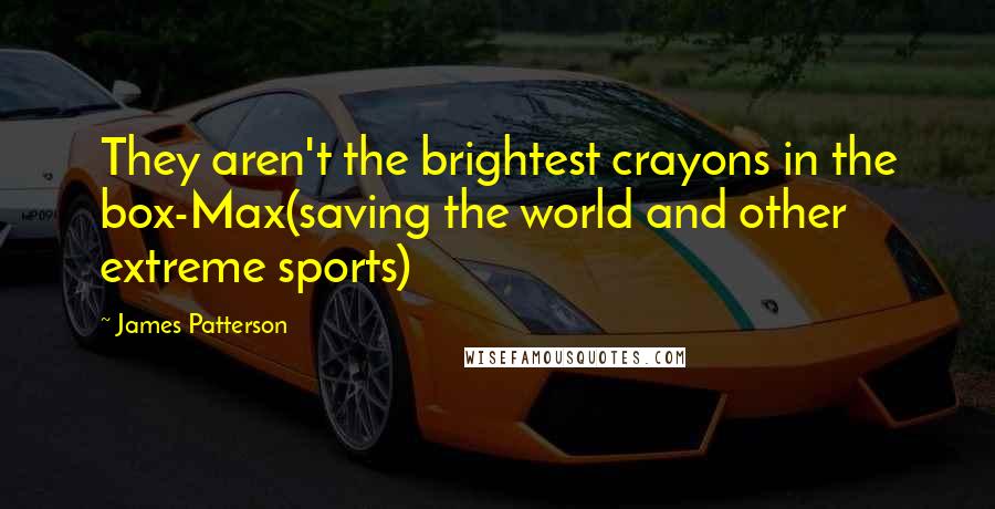 James Patterson Quotes: They aren't the brightest crayons in the box-Max(saving the world and other extreme sports)