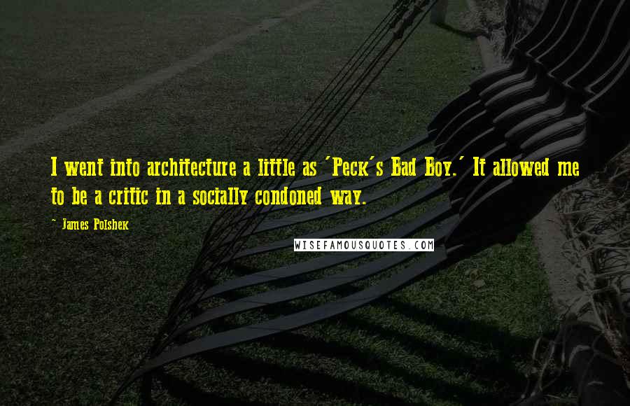 James Polshek Quotes: I went into architecture a little as 'Peck's Bad Boy.' It allowed me to be a critic in a socially condoned way.