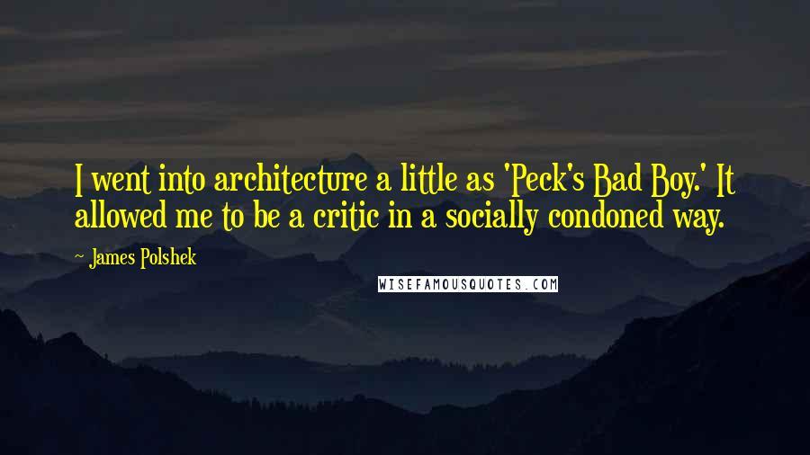 James Polshek Quotes: I went into architecture a little as 'Peck's Bad Boy.' It allowed me to be a critic in a socially condoned way.