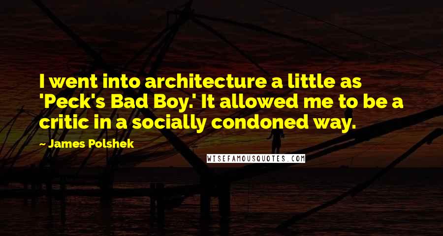 James Polshek Quotes: I went into architecture a little as 'Peck's Bad Boy.' It allowed me to be a critic in a socially condoned way.