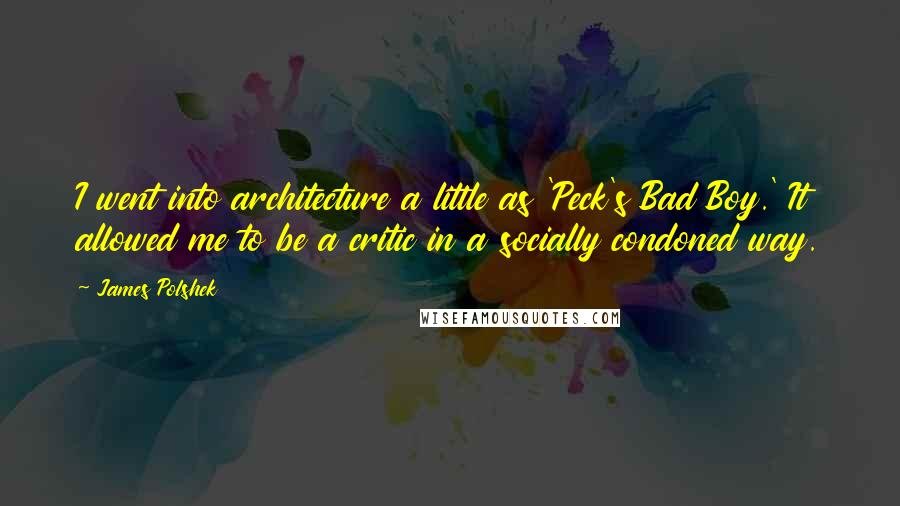 James Polshek Quotes: I went into architecture a little as 'Peck's Bad Boy.' It allowed me to be a critic in a socially condoned way.