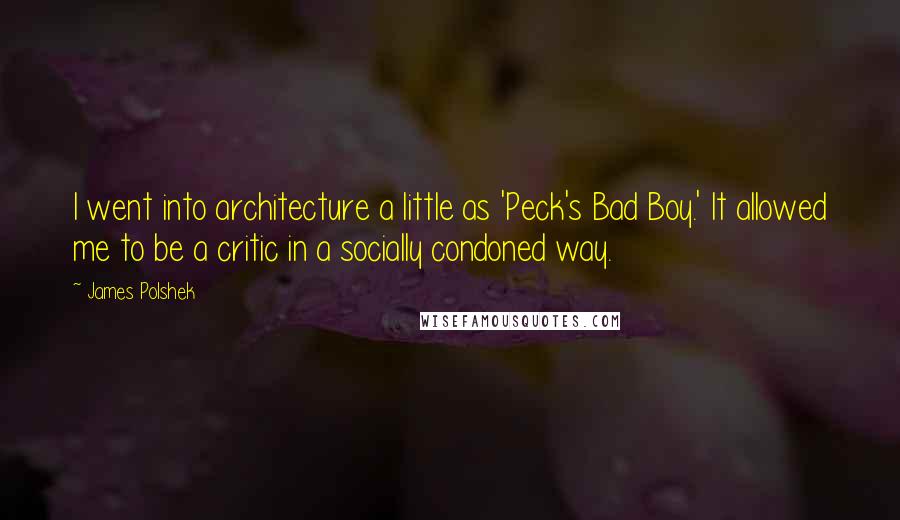 James Polshek Quotes: I went into architecture a little as 'Peck's Bad Boy.' It allowed me to be a critic in a socially condoned way.