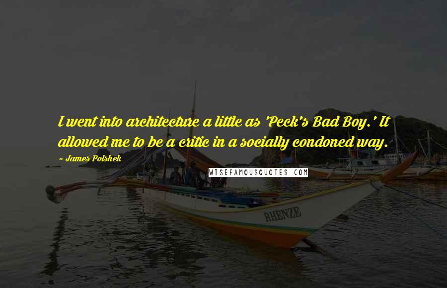 James Polshek Quotes: I went into architecture a little as 'Peck's Bad Boy.' It allowed me to be a critic in a socially condoned way.