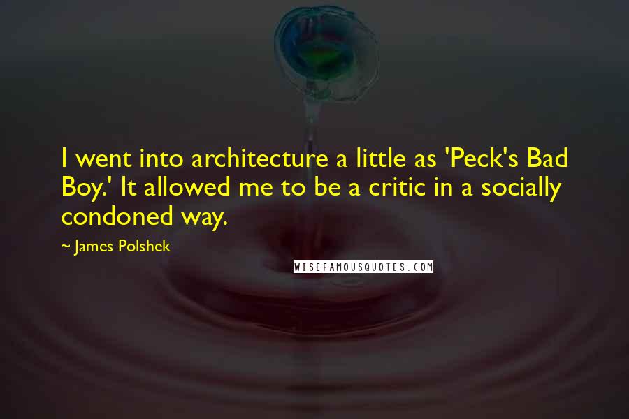 James Polshek Quotes: I went into architecture a little as 'Peck's Bad Boy.' It allowed me to be a critic in a socially condoned way.