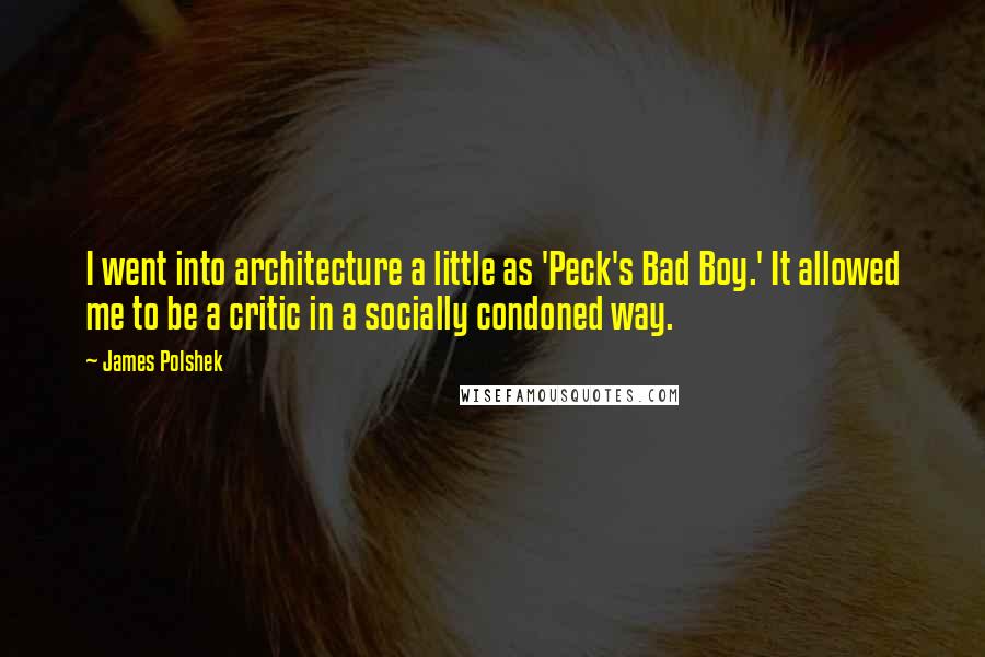 James Polshek Quotes: I went into architecture a little as 'Peck's Bad Boy.' It allowed me to be a critic in a socially condoned way.