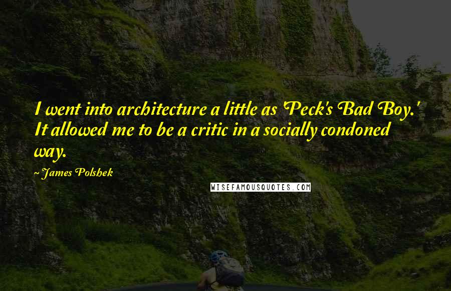 James Polshek Quotes: I went into architecture a little as 'Peck's Bad Boy.' It allowed me to be a critic in a socially condoned way.