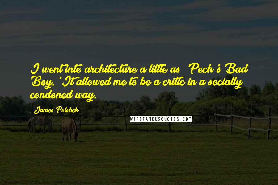 James Polshek Quotes: I went into architecture a little as 'Peck's Bad Boy.' It allowed me to be a critic in a socially condoned way.