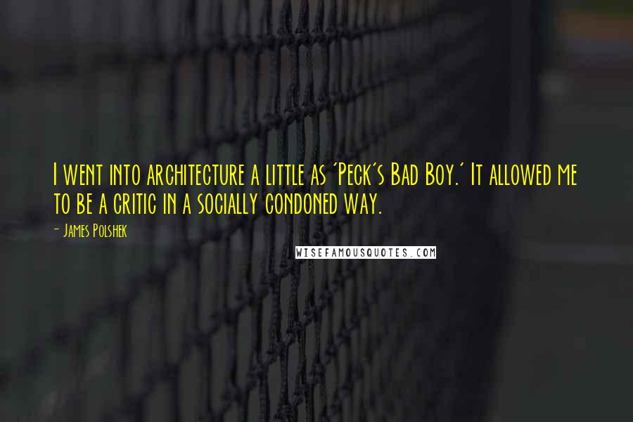 James Polshek Quotes: I went into architecture a little as 'Peck's Bad Boy.' It allowed me to be a critic in a socially condoned way.