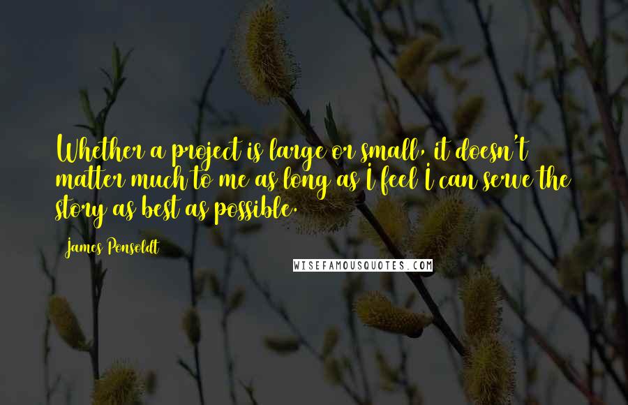 James Ponsoldt Quotes: Whether a project is large or small, it doesn't matter much to me as long as I feel I can serve the story as best as possible.