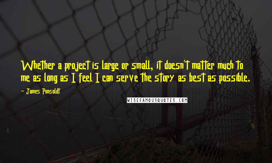 James Ponsoldt Quotes: Whether a project is large or small, it doesn't matter much to me as long as I feel I can serve the story as best as possible.