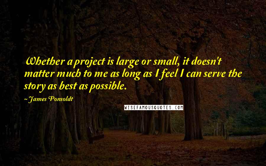 James Ponsoldt Quotes: Whether a project is large or small, it doesn't matter much to me as long as I feel I can serve the story as best as possible.