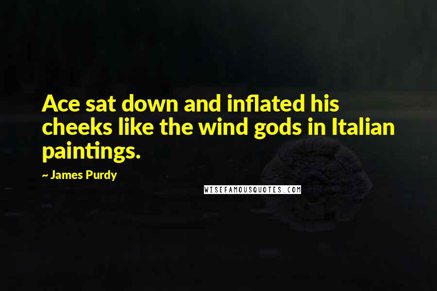 James Purdy Quotes: Ace sat down and inflated his cheeks like the wind gods in Italian paintings.