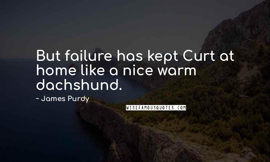 James Purdy Quotes: But failure has kept Curt at home like a nice warm dachshund.