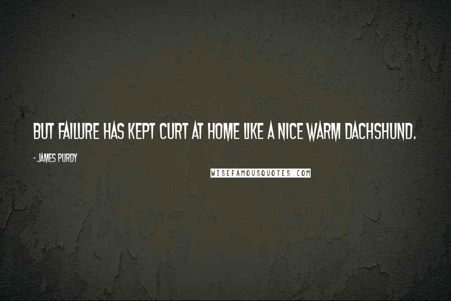 James Purdy Quotes: But failure has kept Curt at home like a nice warm dachshund.