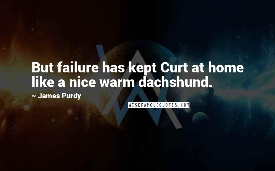 James Purdy Quotes: But failure has kept Curt at home like a nice warm dachshund.