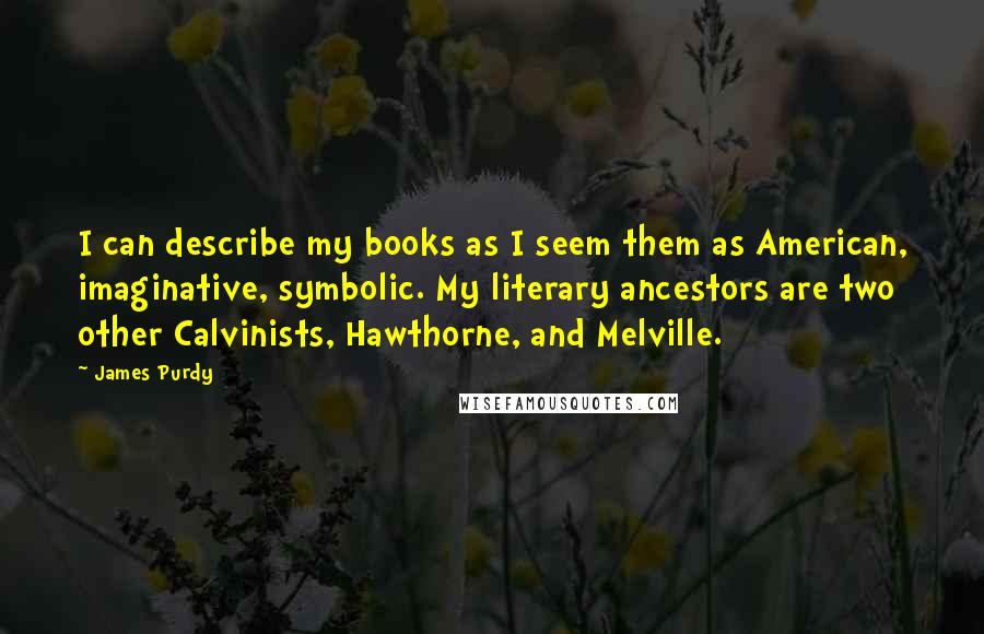 James Purdy Quotes: I can describe my books as I seem them as American, imaginative, symbolic. My literary ancestors are two other Calvinists, Hawthorne, and Melville.