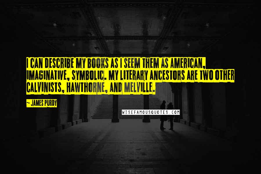 James Purdy Quotes: I can describe my books as I seem them as American, imaginative, symbolic. My literary ancestors are two other Calvinists, Hawthorne, and Melville.