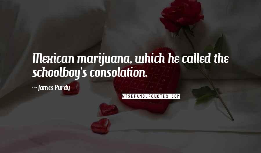 James Purdy Quotes: Mexican marijuana, which he called the schoolboy's consolation.