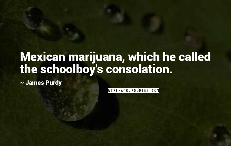 James Purdy Quotes: Mexican marijuana, which he called the schoolboy's consolation.