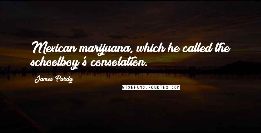James Purdy Quotes: Mexican marijuana, which he called the schoolboy's consolation.