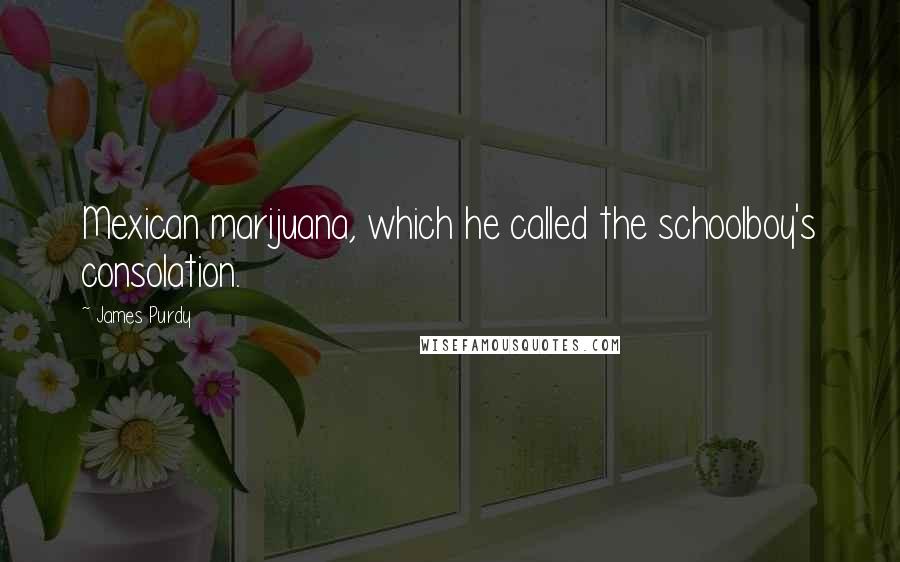 James Purdy Quotes: Mexican marijuana, which he called the schoolboy's consolation.
