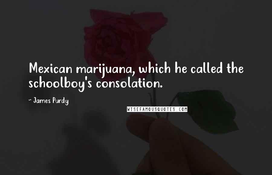 James Purdy Quotes: Mexican marijuana, which he called the schoolboy's consolation.