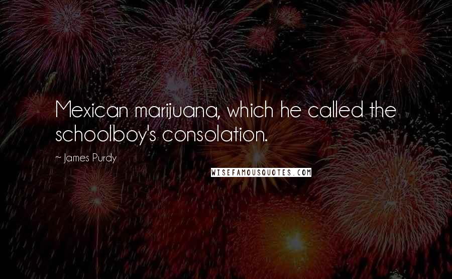 James Purdy Quotes: Mexican marijuana, which he called the schoolboy's consolation.