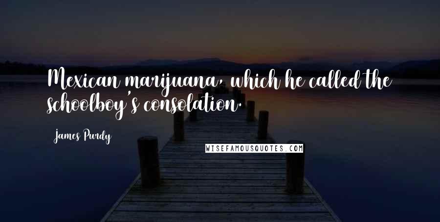 James Purdy Quotes: Mexican marijuana, which he called the schoolboy's consolation.
