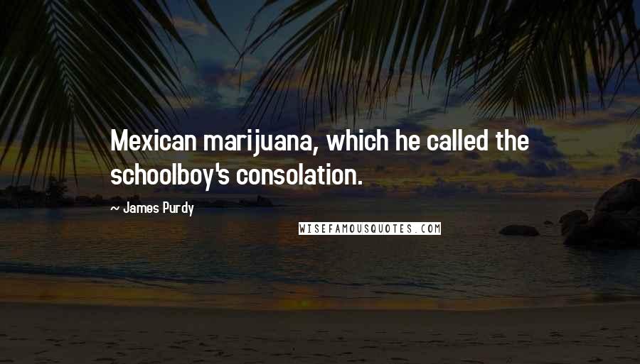 James Purdy Quotes: Mexican marijuana, which he called the schoolboy's consolation.