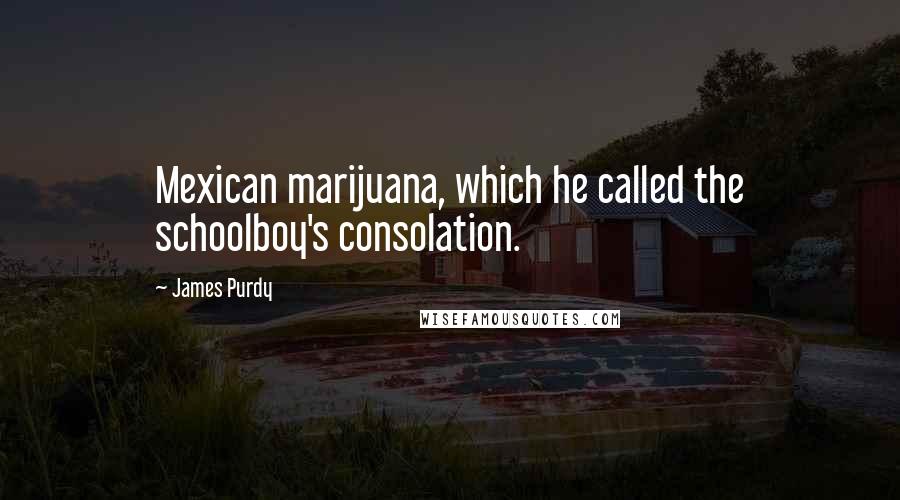 James Purdy Quotes: Mexican marijuana, which he called the schoolboy's consolation.