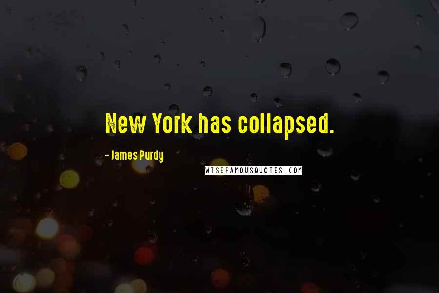 James Purdy Quotes: New York has collapsed.