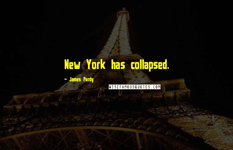 James Purdy Quotes: New York has collapsed.