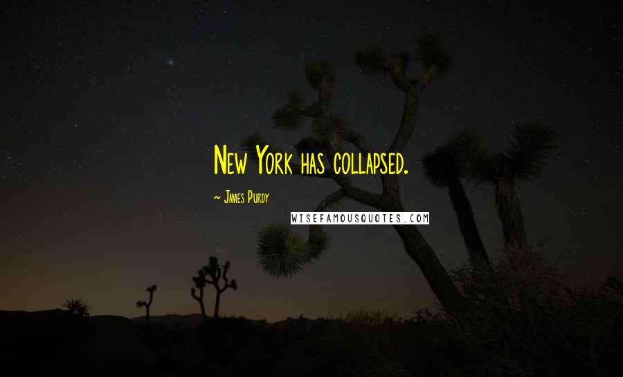 James Purdy Quotes: New York has collapsed.