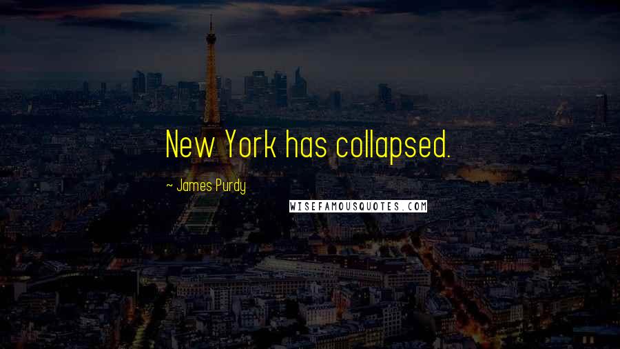 James Purdy Quotes: New York has collapsed.