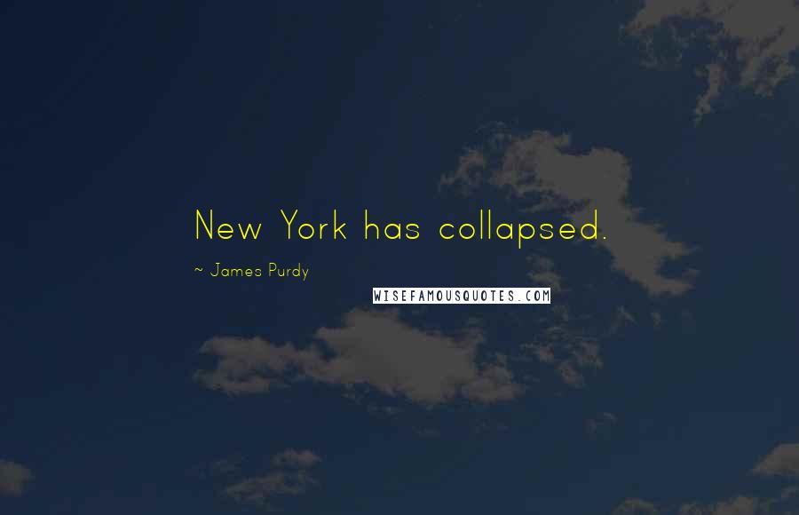 James Purdy Quotes: New York has collapsed.