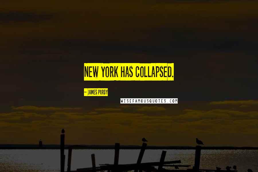 James Purdy Quotes: New York has collapsed.