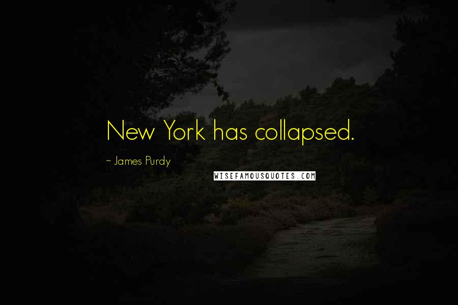 James Purdy Quotes: New York has collapsed.