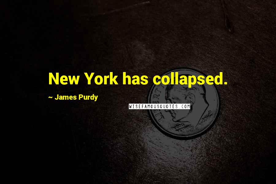 James Purdy Quotes: New York has collapsed.