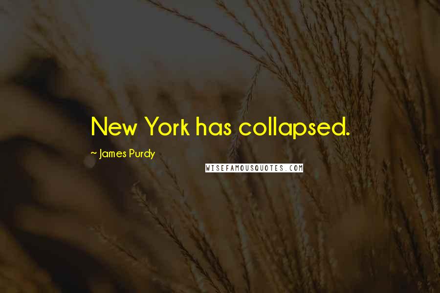 James Purdy Quotes: New York has collapsed.