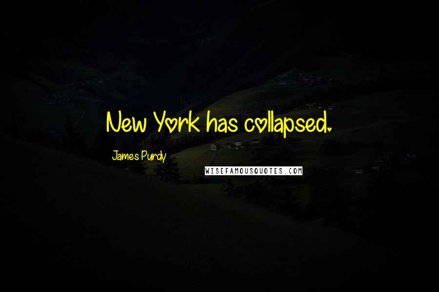 James Purdy Quotes: New York has collapsed.