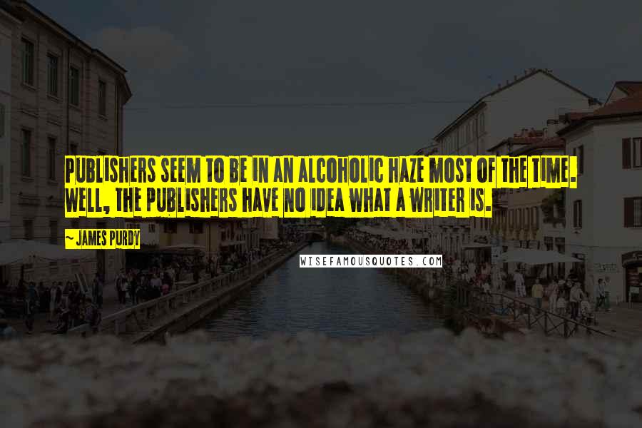 James Purdy Quotes: Publishers seem to be in an alcoholic haze most of the time. Well, the publishers have no idea what a writer is.
