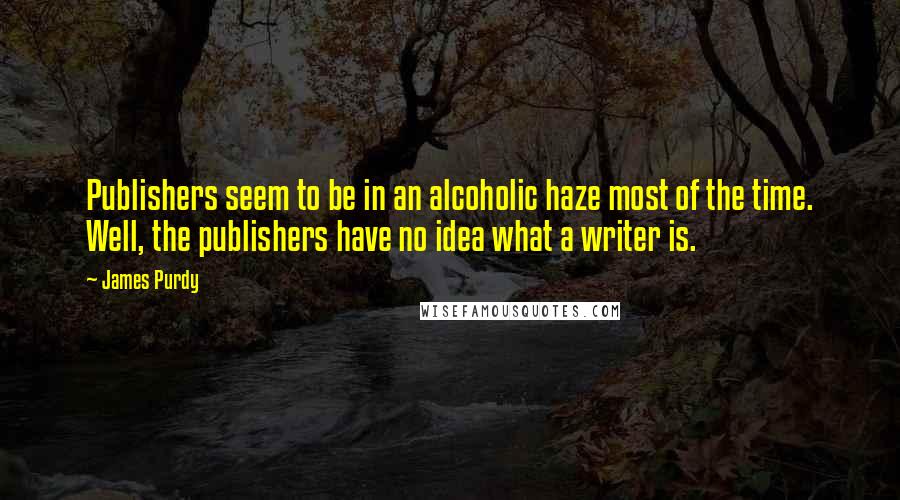 James Purdy Quotes: Publishers seem to be in an alcoholic haze most of the time. Well, the publishers have no idea what a writer is.