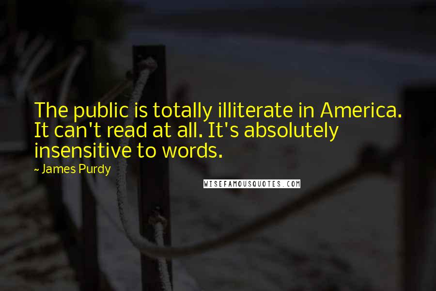 James Purdy Quotes: The public is totally illiterate in America. It can't read at all. It's absolutely insensitive to words.