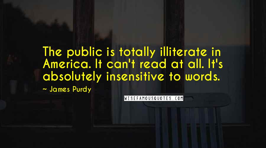 James Purdy Quotes: The public is totally illiterate in America. It can't read at all. It's absolutely insensitive to words.