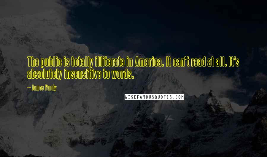 James Purdy Quotes: The public is totally illiterate in America. It can't read at all. It's absolutely insensitive to words.